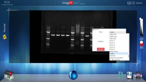 er biyotek, erbiyotek, gen-box, genbox, imager, western blot, imager fx, imager Cfx, imagER, imager eyes, jel görüntüleme sistemi, gel imager, imagER CFx mini, gen-box imager fx mini, Biyoteknoloji, Biotechnology, ER Biyotek, ER Biotech, biyo-görüntüleme, UV görüntüleme, kemilüminesan görüntüleme, floresan görüntüleme, uv görüntüleme, agaroz jel görüntüleme, western blot, ECL, ECL Plus, chemi imager, kemilüminesans görüntüleme, yerli üretim, moleküler biyoloji ve genetik bölümü, Türkiye, Turkey