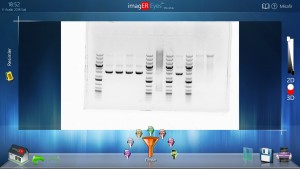 er biyotek, erbiyotek, gen-box, genbox, imager, western blot, imager fx, imager Cfx, imagER, imager eyes, jel görüntüleme sistemi, gel imager, imagER CFx mini, gen-box imager fx mini, Biyoteknoloji, Biotechnology, ER Biyotek, ER Biotech, biyo-görüntüleme, UV görüntüleme, kemilüminesan görüntüleme, floresan görüntüleme, uv görüntüleme, agaroz jel görüntüleme, western blot, ECL, ECL Plus, chemi imager, kemilüminesans görüntüleme, yerli üretim, moleküler biyoloji ve genetik bölümü, Türkiye, Turkey