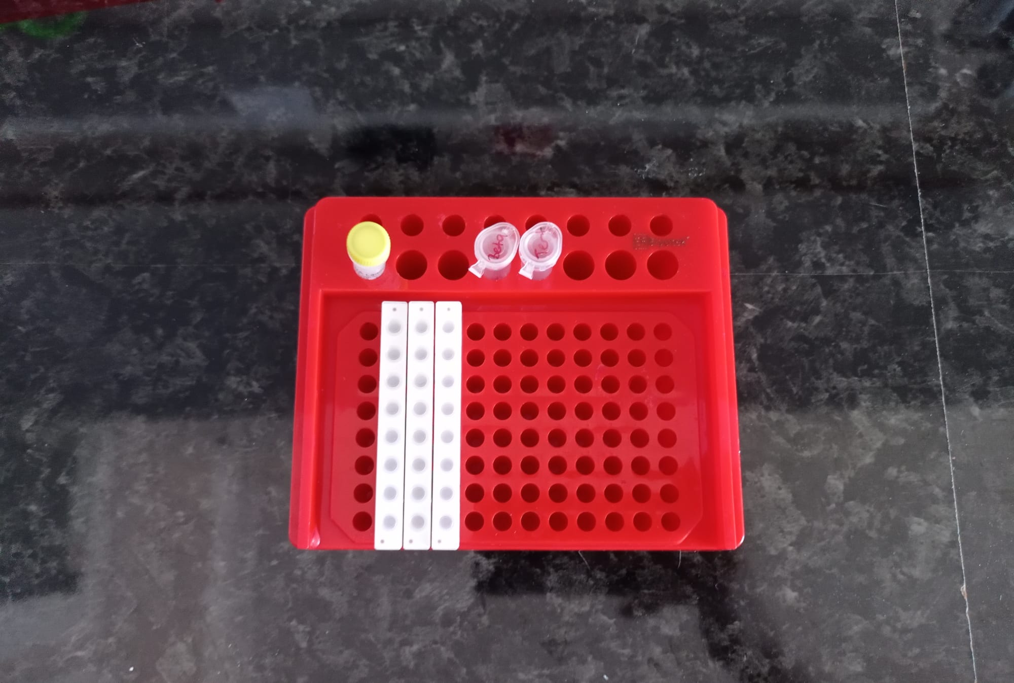 er biyoteknoloji, er biyotek, erbiyotek, gen-box, genbox, imager, western blot, imager fx, imager Cfx, imagER, imager eyes, jel görüntüleme sistemi, gel imager, imagER CFx mini, gen-box imager fx mini, Biyoteknoloji, Biotechnology, ER Biyotek, ER Biotech, biyo-görüntüleme, UV görüntüleme, kemilüminesan görüntüleme, floresan görüntüleme, uv görüntüleme, agaroz jel görüntüleme, western blot, ECL, ECL Plus, chemi imager, kemilüminesans görüntüleme, yerli üretim, yerli ve milli, cooler, masaüstü, soğutucu, Pcr, benchtop cooler, cool-er, PCR tüp standı, soğutmalı plaka, tube rack